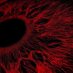 欧美操大逼短视频
