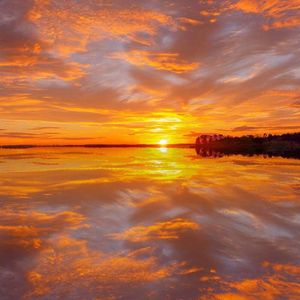 欧美操大逼短视频
